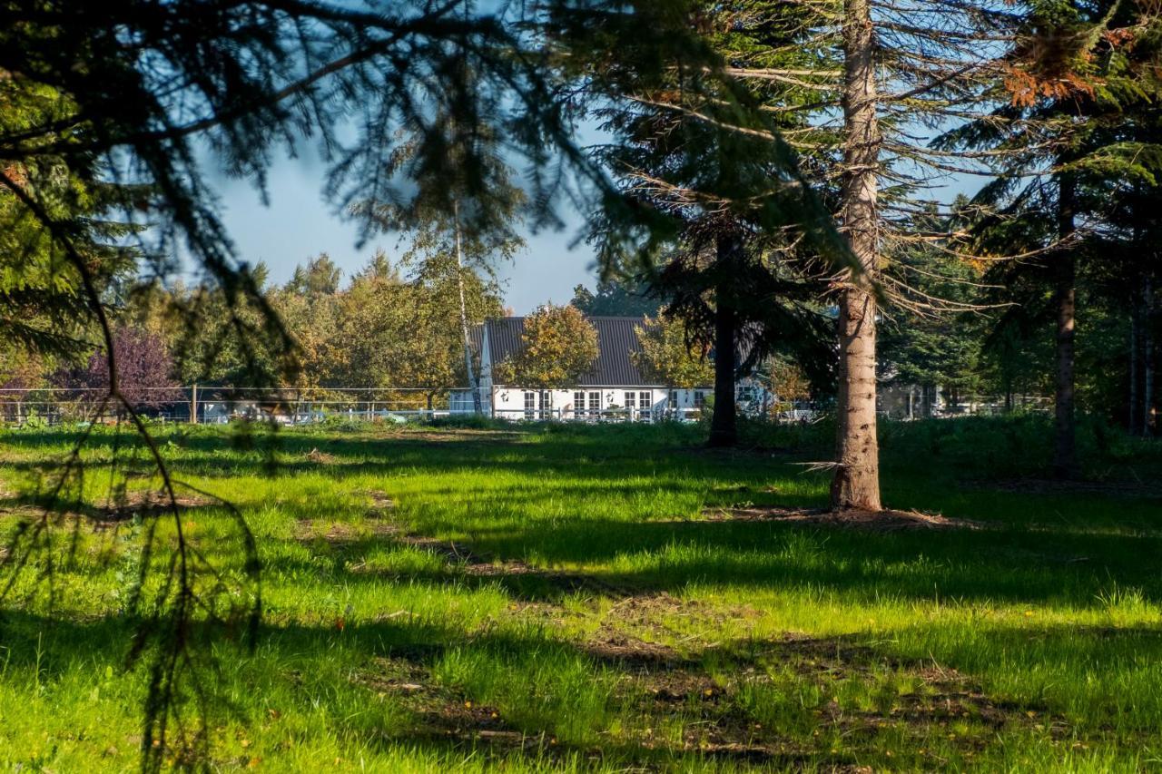 קוגה Troldegaarden Guesthouse מראה חיצוני תמונה